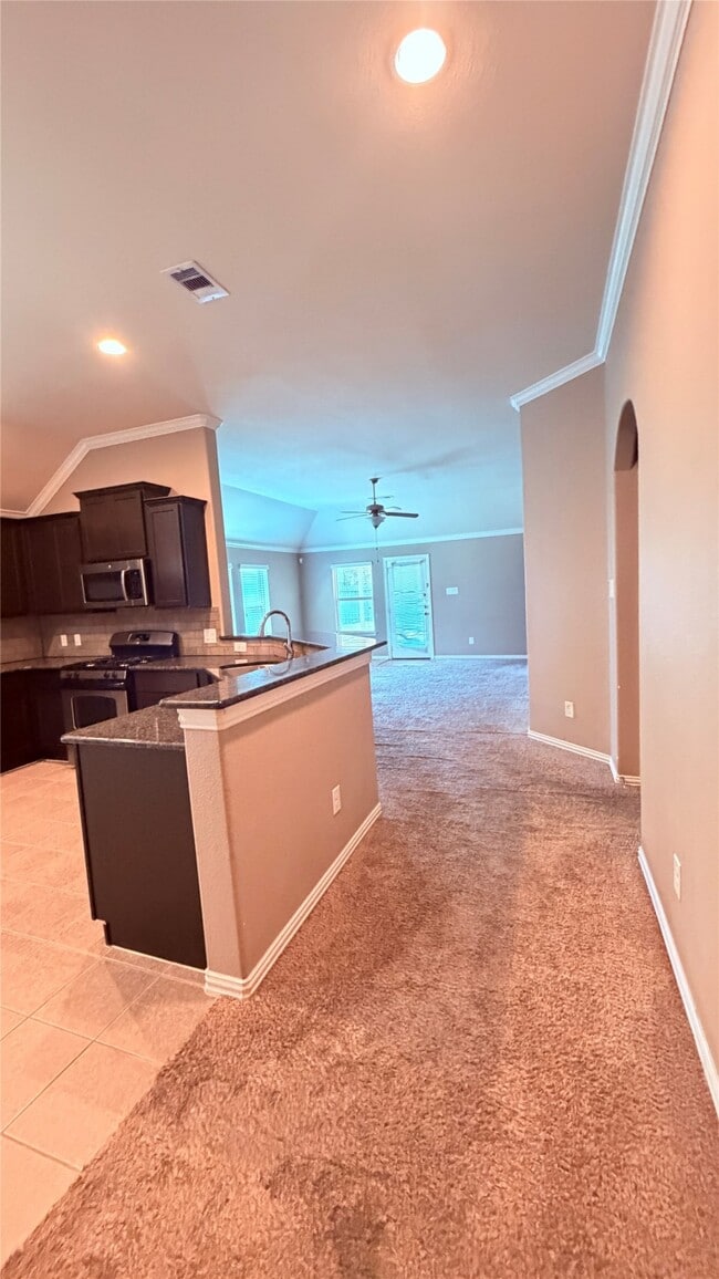 Building Photo - 16627 Fiesta Rose Ct