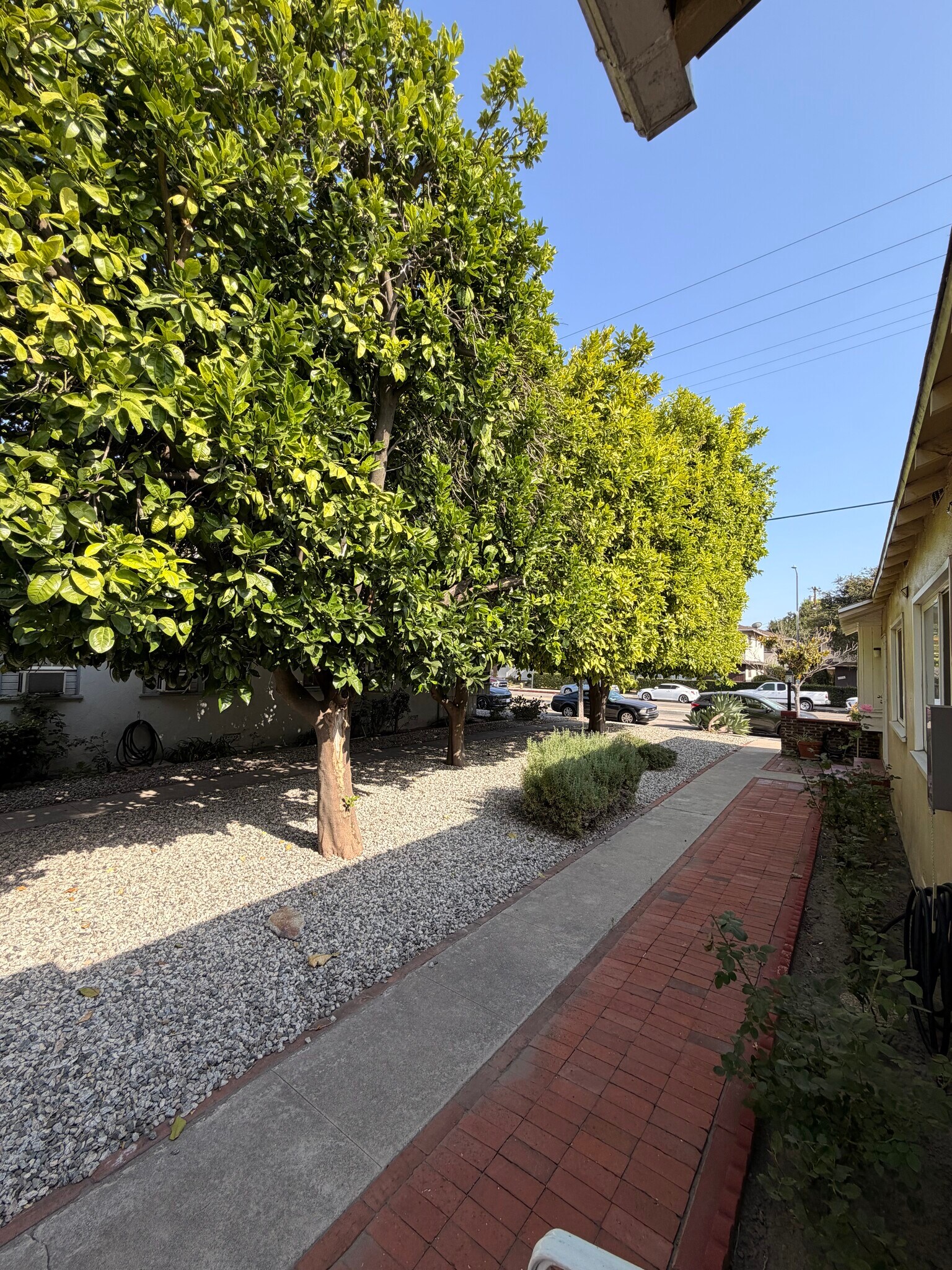 Building Photo - 11675 Magnolia Blvd