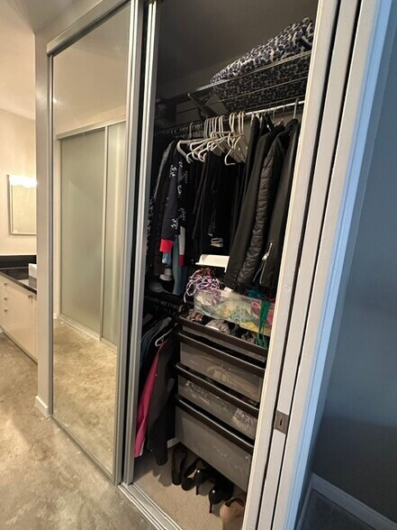 Closet (right side) - 1745 Camino Palmero St
