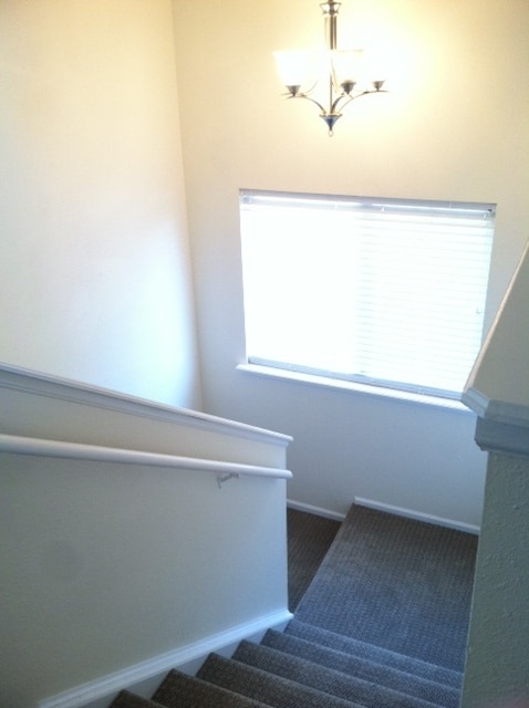 Building Photo - Newly Updated 2 bedroom Condo - Backs to Open Space, Very Private