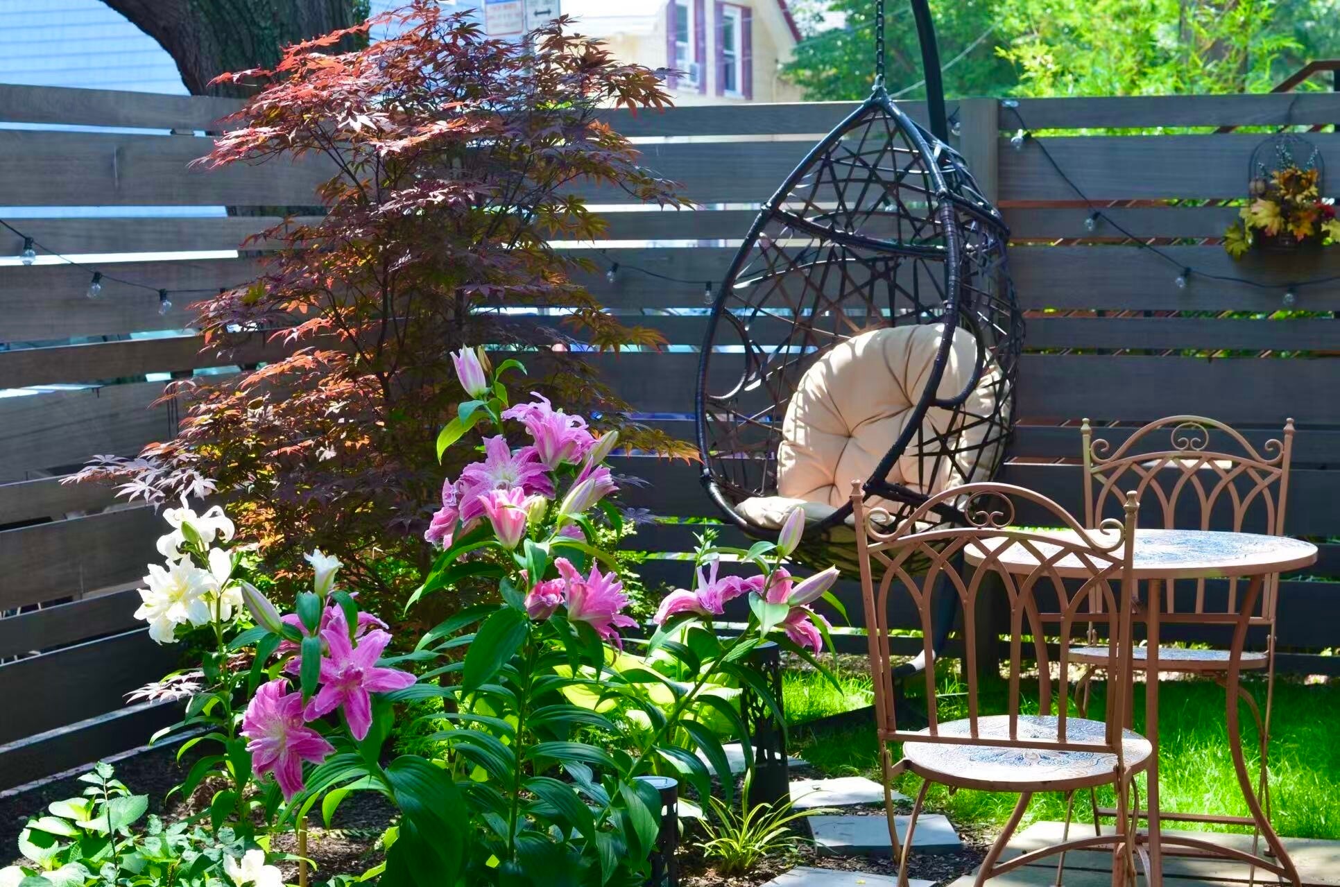 Fenced yard & garden - 58 Lincoln St