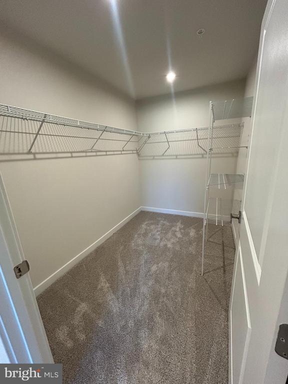 Building Photo - 23052 Wetstone Ln