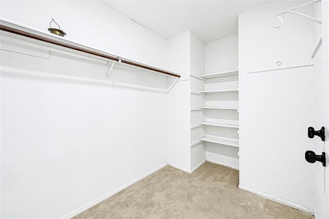 Building Photo - 8302 Country Wind Ln