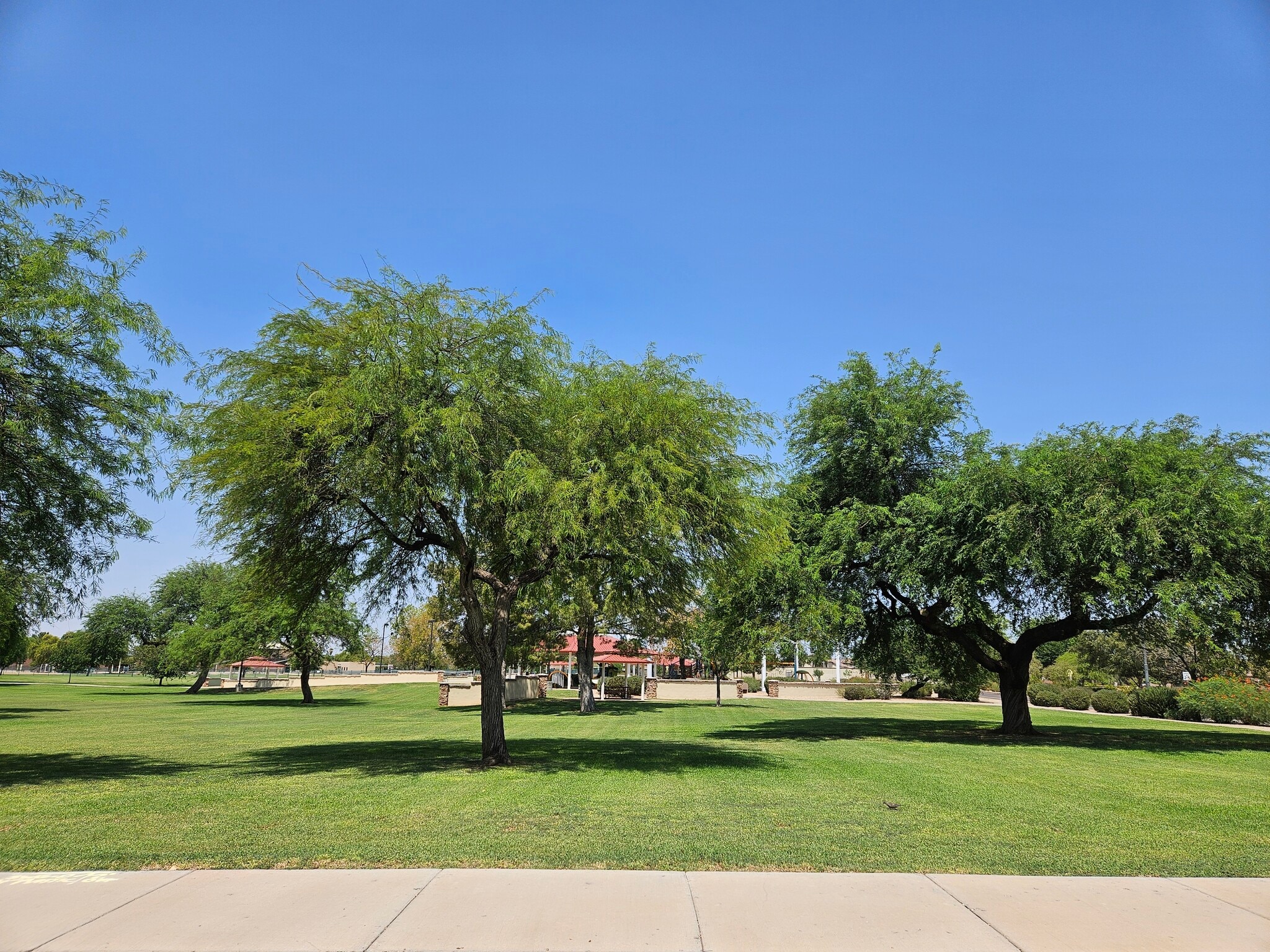Park around corner and many more around including walking paths - 20408 N 70th Dr