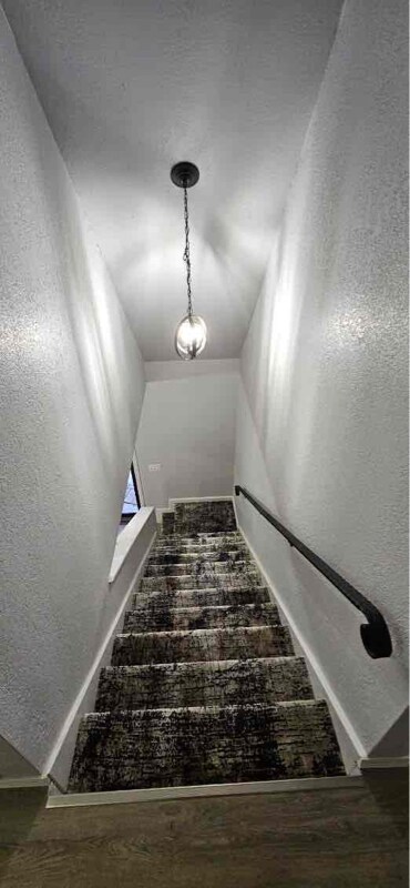 Building Photo - 2308 Shady Tree Ln