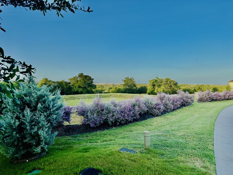 Next door in spring - fall sage blossoms - 429 Pink Granite Blvd