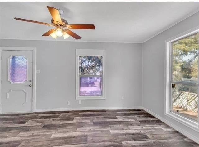 Building Photo - 3453 Wayside Ave