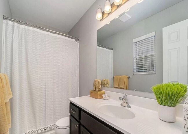 Building Photo - 4 Bedroom Available in Tiburon!