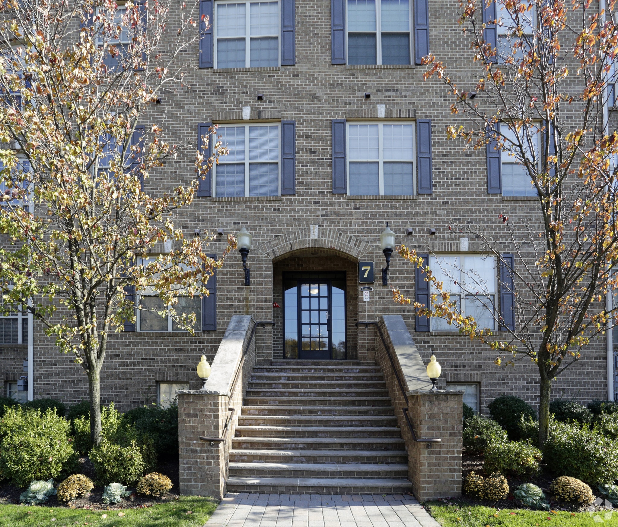 Primary Photo - Bellclair At Montclair