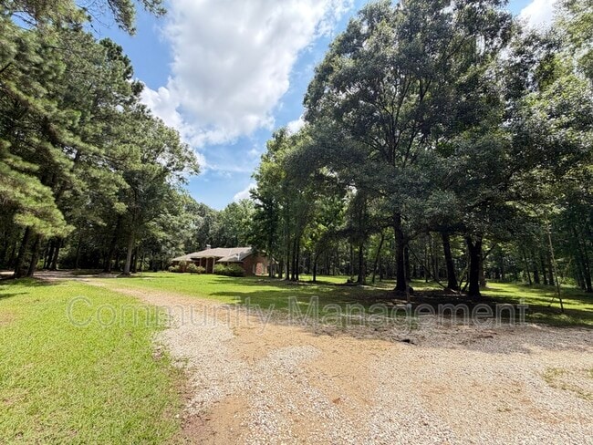 Building Photo - 11275 Otto Odom Cir