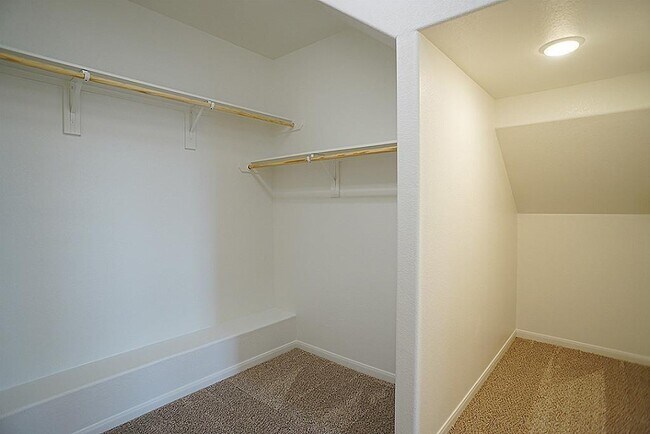 Building Photo - 17923 Alora Springs Trace