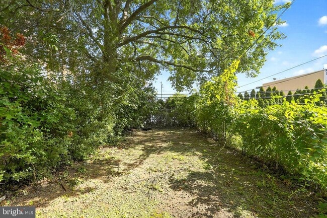 Building Photo - 413 Rector St