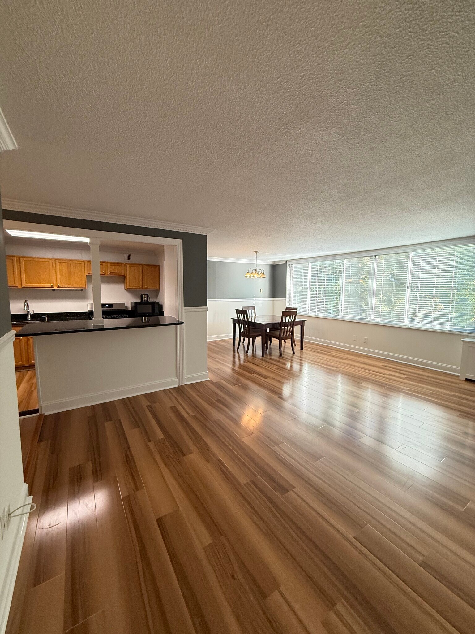 Living room - 11801 Rockville Pike