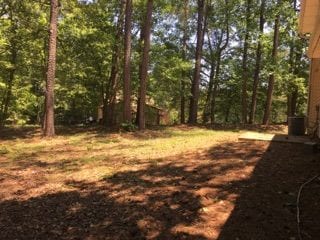 Building Photo - Beautiful 4BR/2BA home nestled in a quiet Ellenwood GA