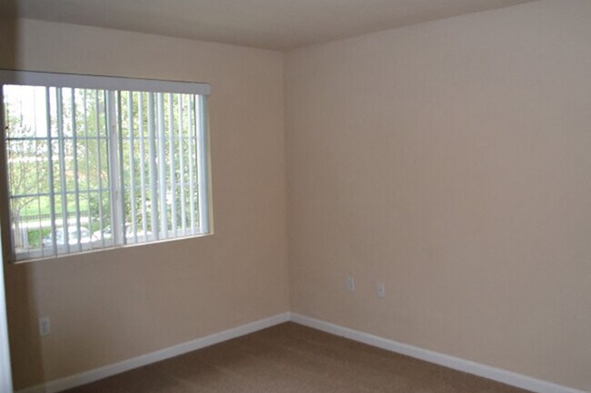 Large bedrooms with bold windows - Bristol Apartment Homes