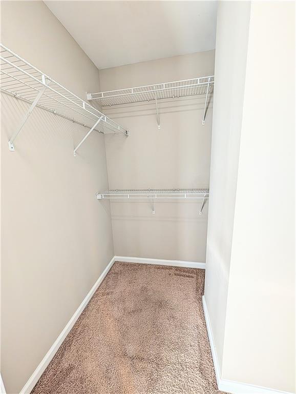 Building Photo - 1041 Annazanes Ct