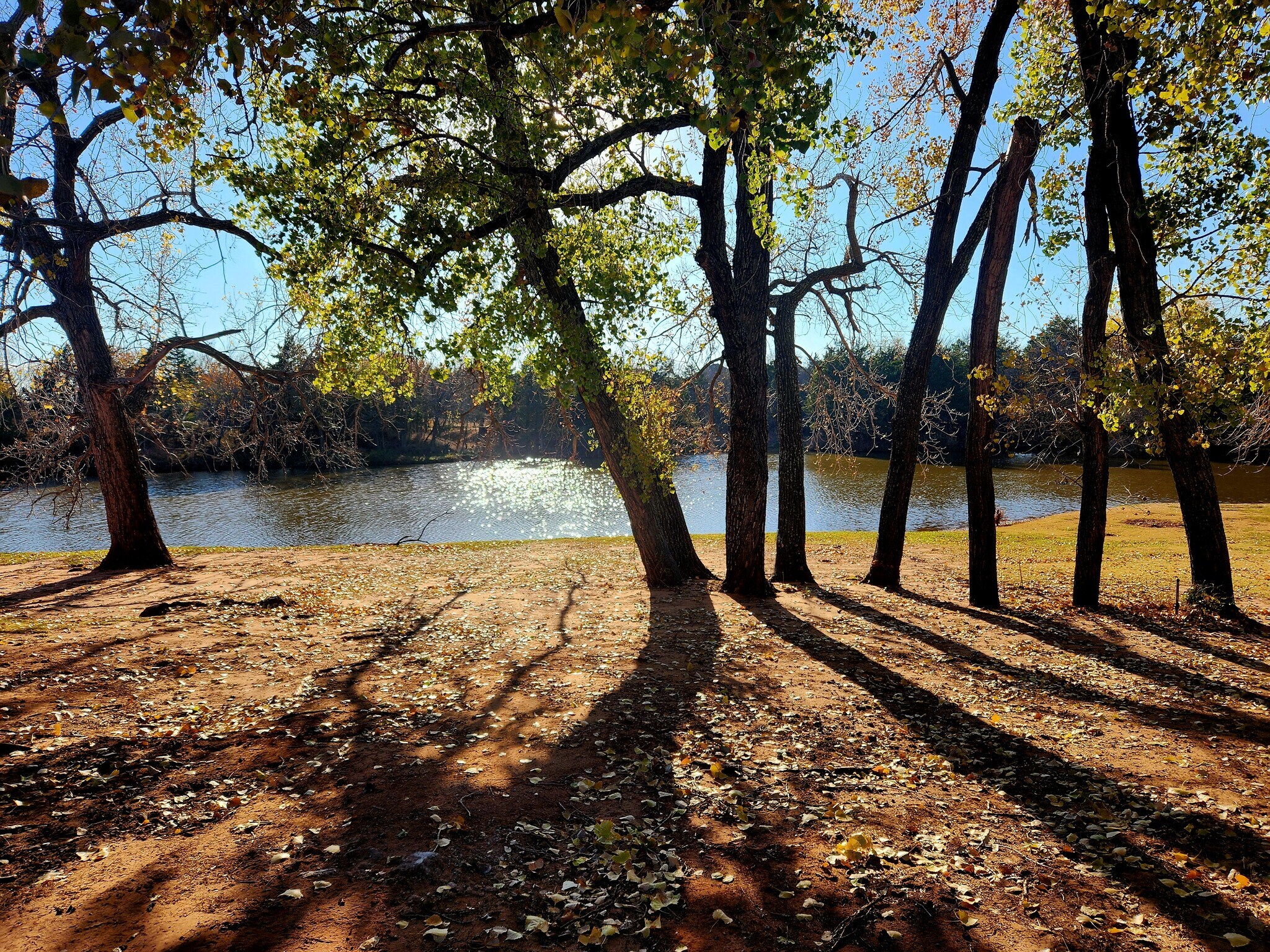 Backyard - 4716 Hemlock Cir