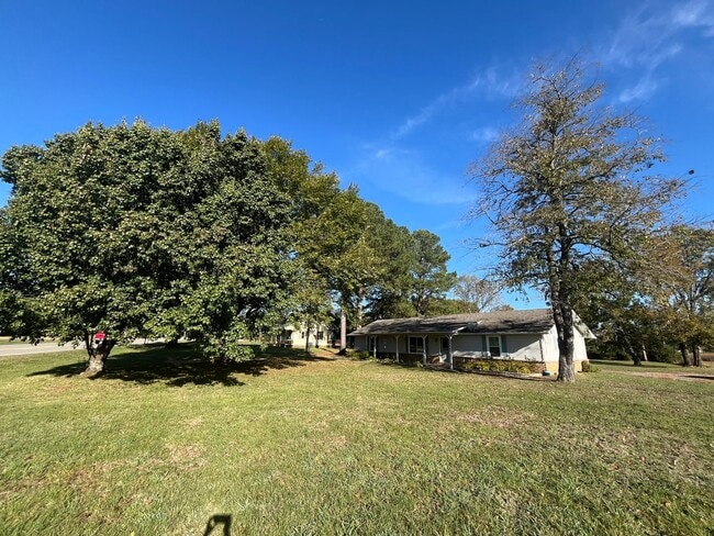 Building Photo - New Listing!