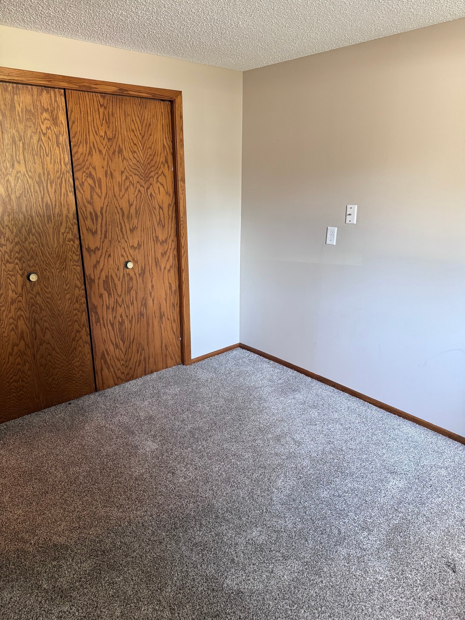 2nd Bedroom Closet - 3709 229th Ln NW