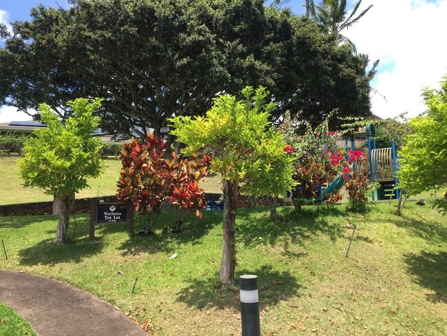 Building Photo - Spacious Wailuna! Centrally Located!