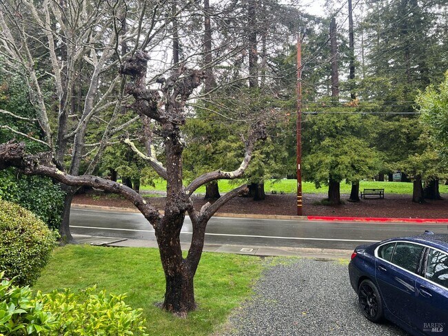 Building Photo - 127 Bolinas Ave