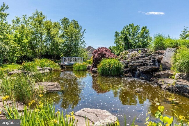 Building Photo - 2465 Bear Den Rd