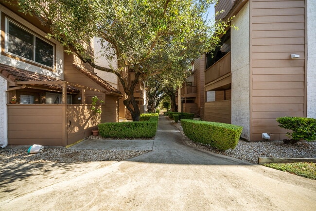 Building Photo - 4107 Medical Dr