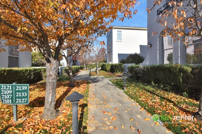 Building Photo - North-East Facing Home in Prime San Ramon Location!