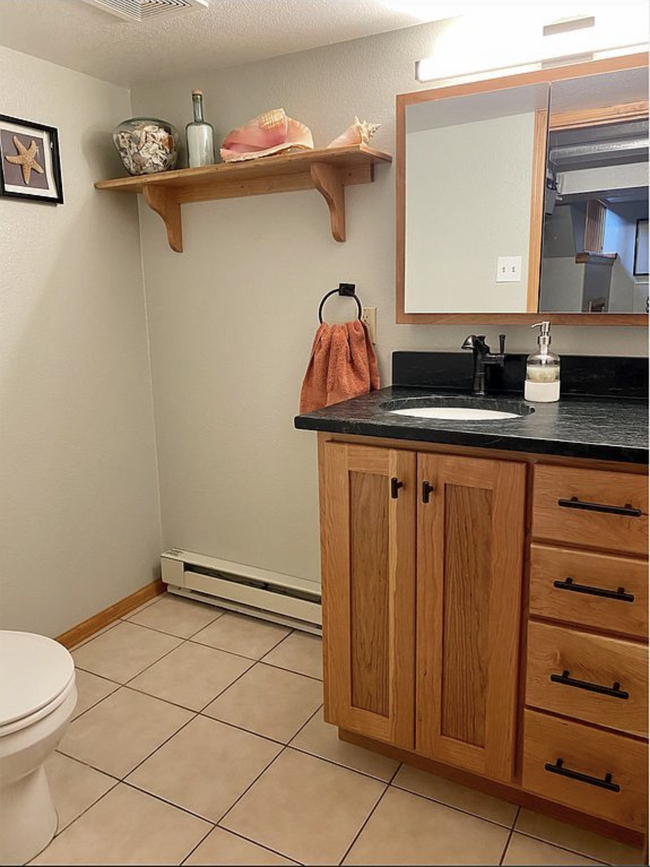 Lower level bathroom with stone counters and luxury fixtures. - 711 S 11th St