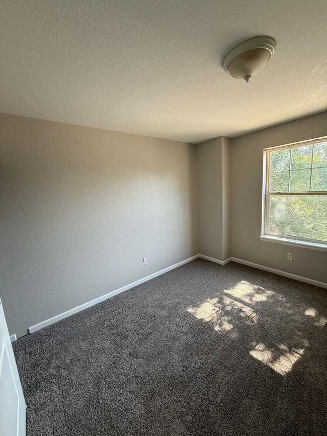 Building Photo - 3 bedroom home in Longmont