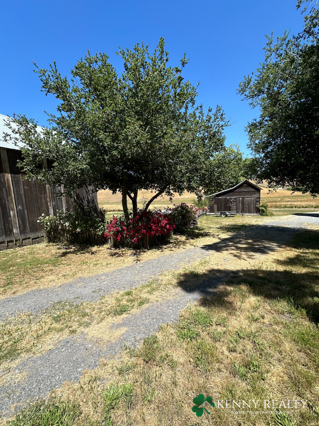 Building Photo - 3 Bedroom, 3 Bathroom Ranch Home in Petaluma