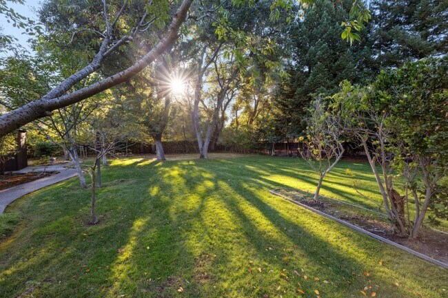 Building Photo - 243 Selby Ln