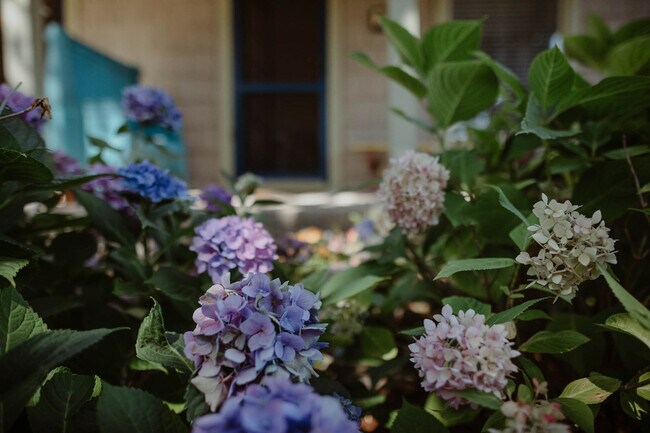 Building Photo - 108 W 6th St