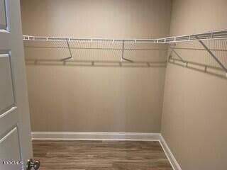 Building Photo - 10073 Willow Leaf Dr