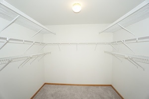 Building Photo - 907 Elderberry Cir