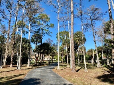 Building Photo - 6171 Lancewood Way