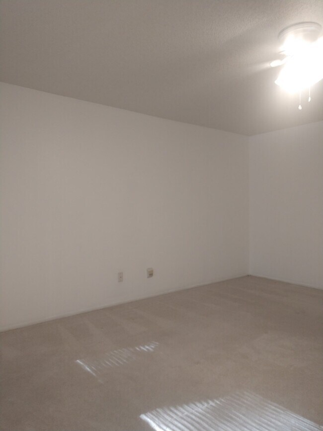 Building Photo - 2 Bedroom/2 Bath Palm Harbor Condo