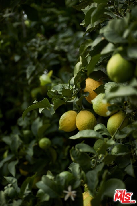 Building Photo - 5918 Monte Vista St