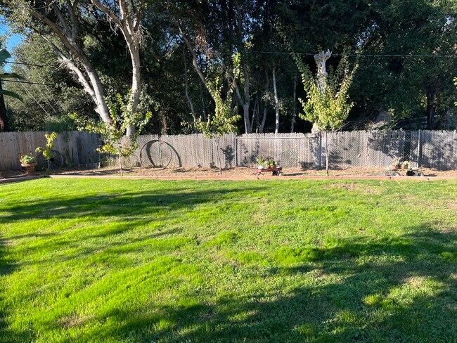 Building Photo - 545 Thumbelina Dr