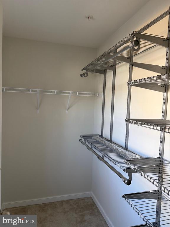 Building Photo - 25549 Feltre Terrace