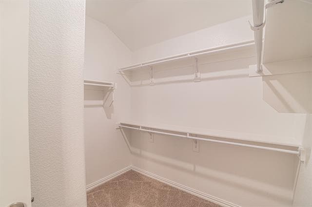 Building Photo - 1910 Blackbird Ln