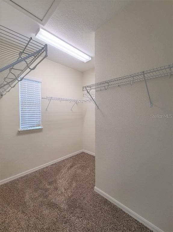 Building Photo - 1039 Taramundi Dr