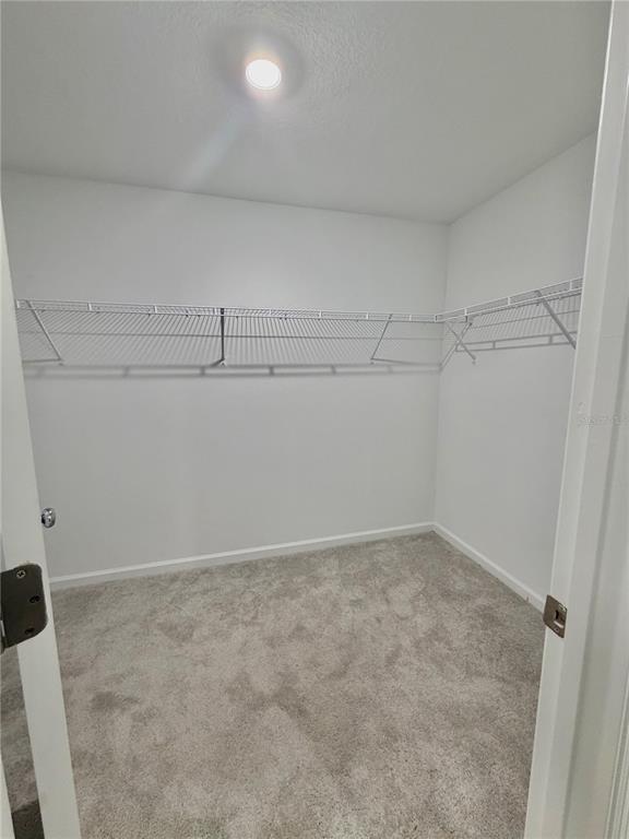 Building Photo - 2704 Pioneer Trl