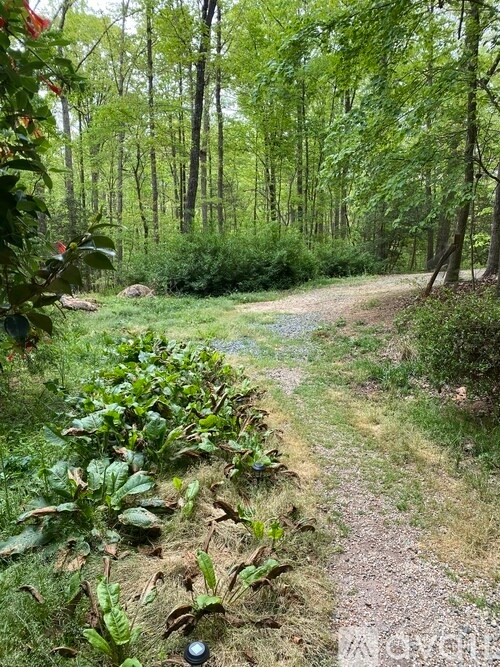 2919 Chicken Bridge Rd 2919 Chicken Bridge Rd Pittsboro NC 27312 Apartment Finder