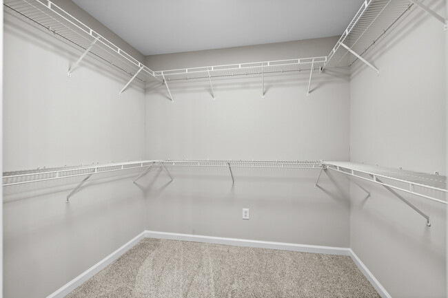 Building Photo - 413 Cotton Grass Dr