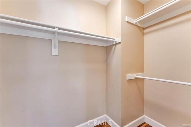 Building Photo - 312 Torito Ln
