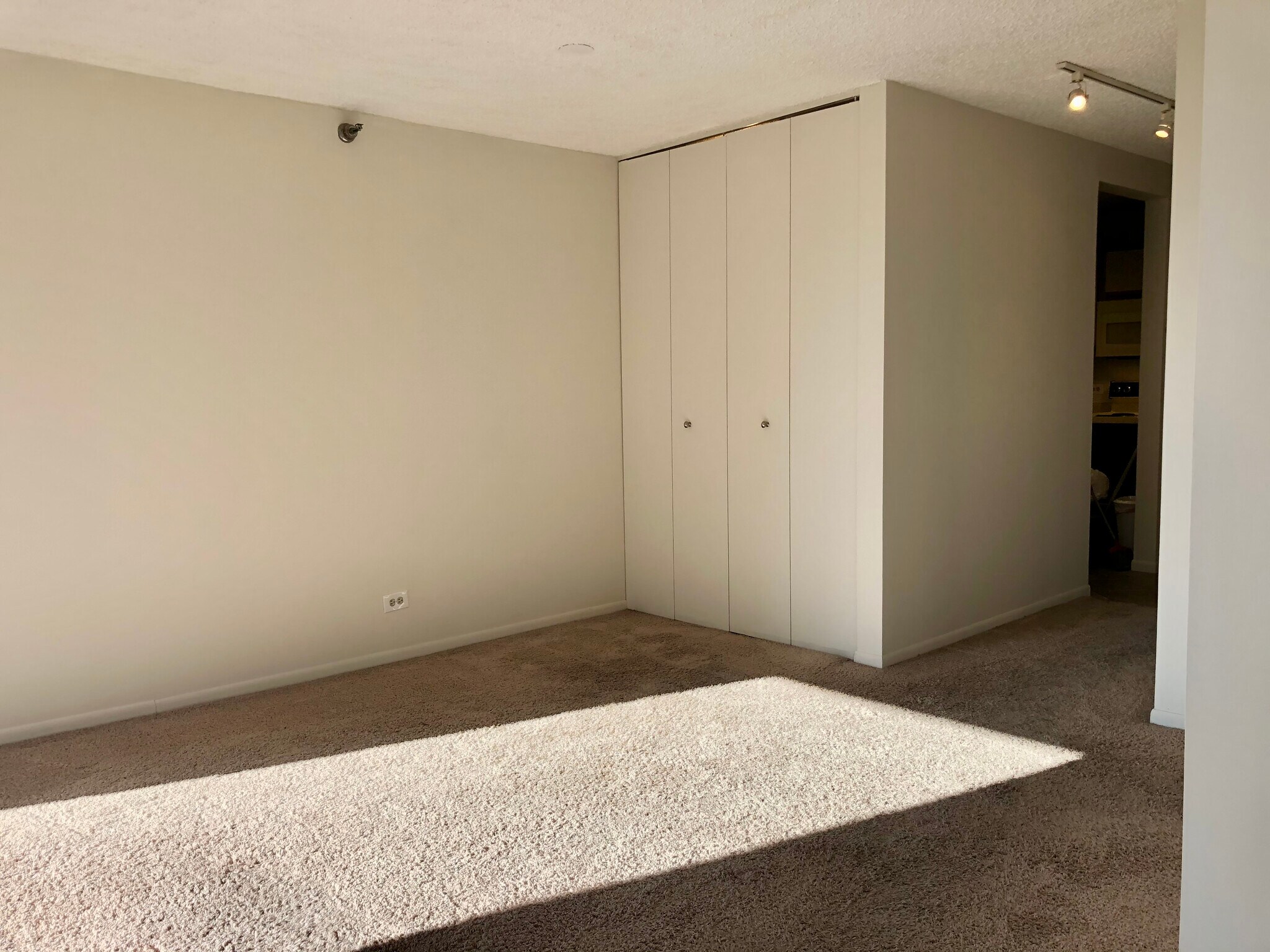 Looking from french doors. Container Store closets. - 1122 N Clark St