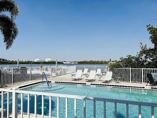 Pool next to the Bay - 1859 Shore Dr S