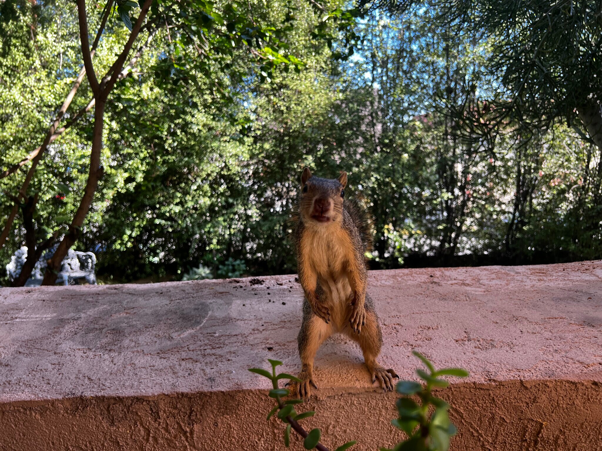 Building Photo - 627 Tularosa Dr