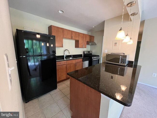Building Photo - 12307 Braxfield Ct